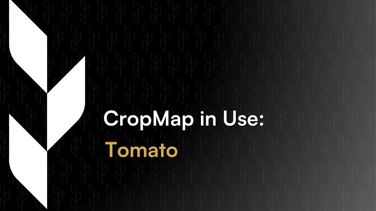 CropMap In Use: Tomato