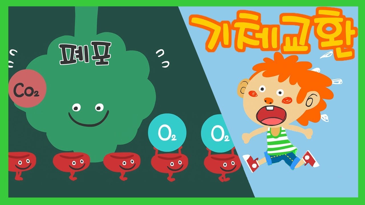 내호흡! 외호흡!   |  기체교환송  |  과학송