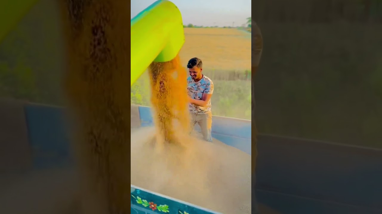 harvester voice 4k  / tractor video 4k