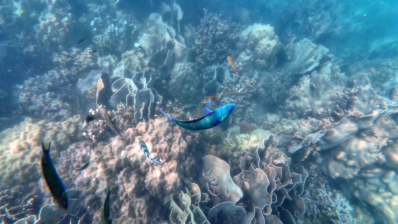 Koh Chang snorkeling tour - 4 islands