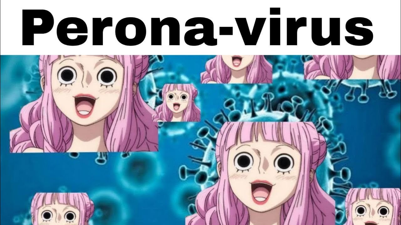 ULTIMATE ONE PIECE MEMES 15