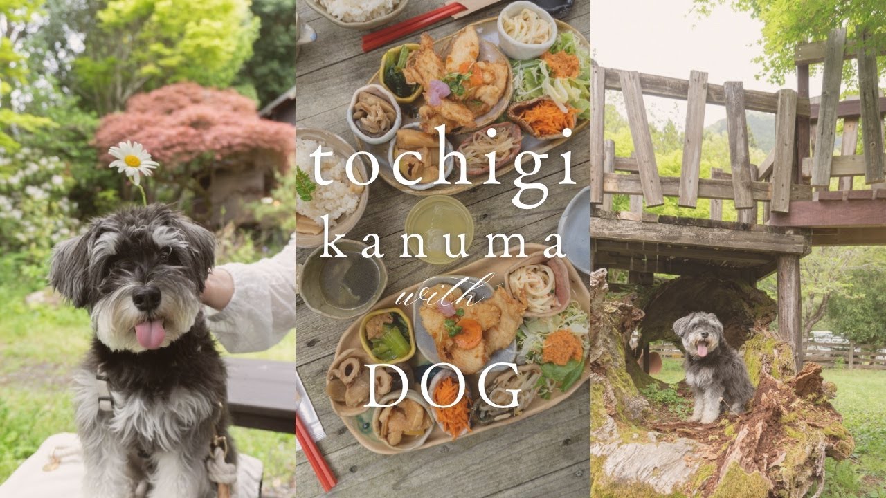 【犬とお出かけ】コスパ最強ランチと自然いっぱいドッグランで楽しすぎる休日 ガイド | 栃木県 鹿沼市