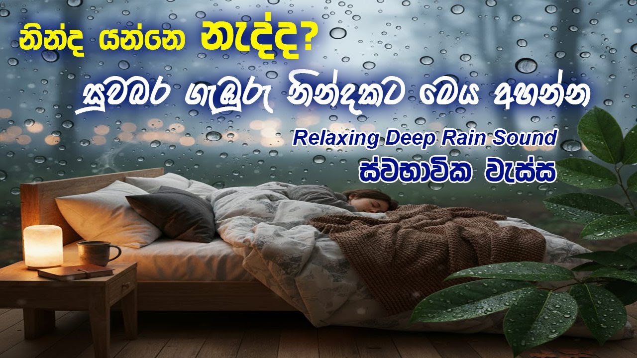 සුවබර නින්දකට සිත නිවන වැස්ස | Rain Sounds for Deep Sleep
