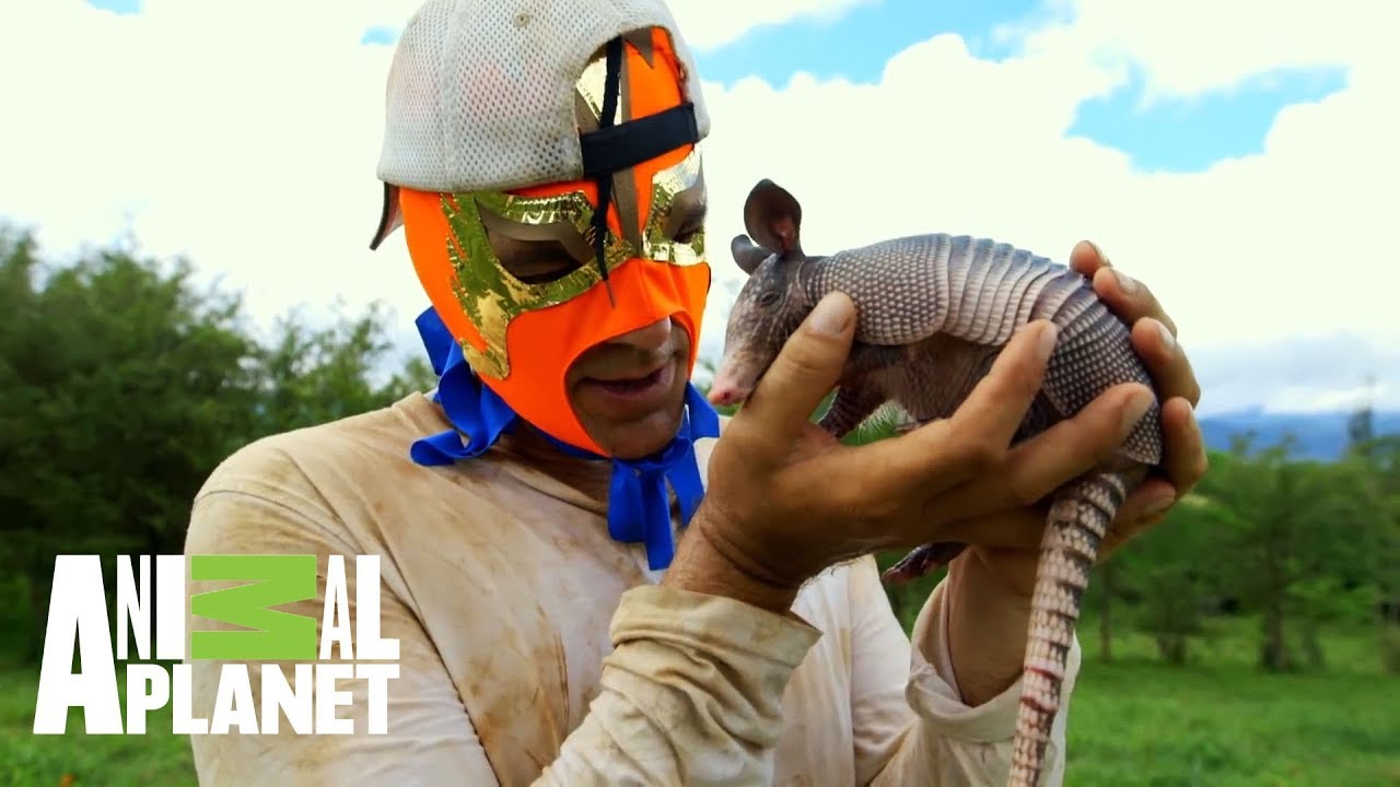 Los mejores momentos de Wild Frank en México | Wild Frank en México | Animal Planet