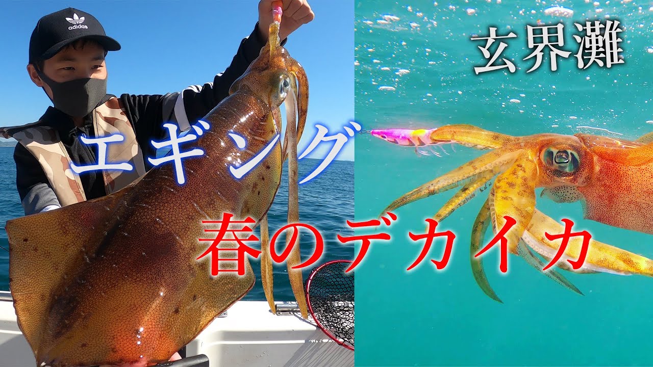 春のデカイカ!「ボートエギング」を一日中満喫。ボートでの基本 How to