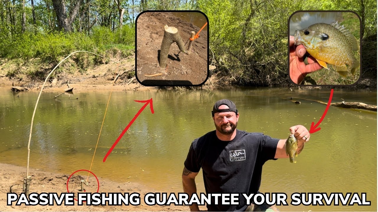 Passive Fishing 101 How To Catch More Fish Using an Automatic Fishing Pole
