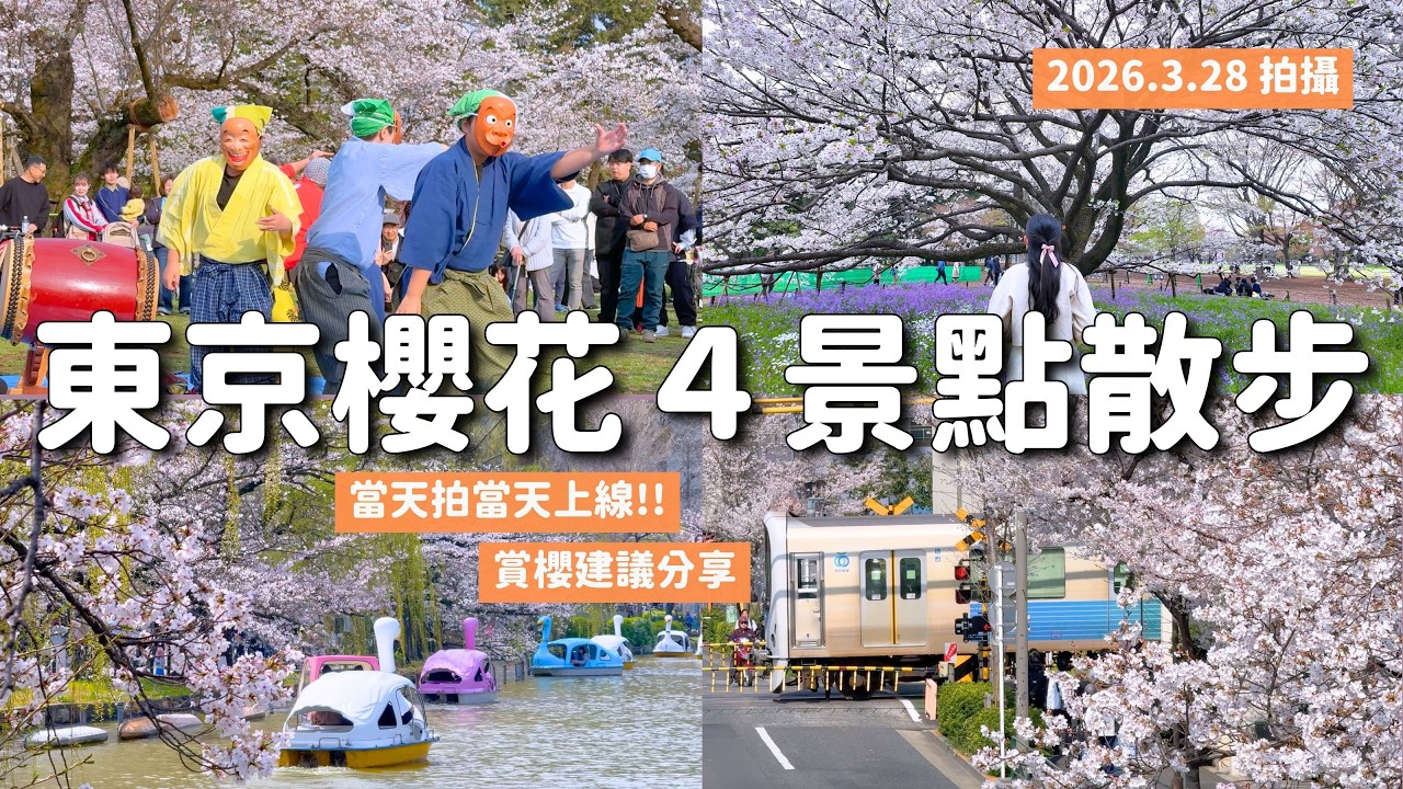 2026東京櫻花最新花況 4景點實拍分享 今天拍今天上線！朝聖了春日奇蹟「衣通姬」櫻花🌸 上野公園 中野站 三鷹站北口 小金井公園｜東京旅行 4K VLOG