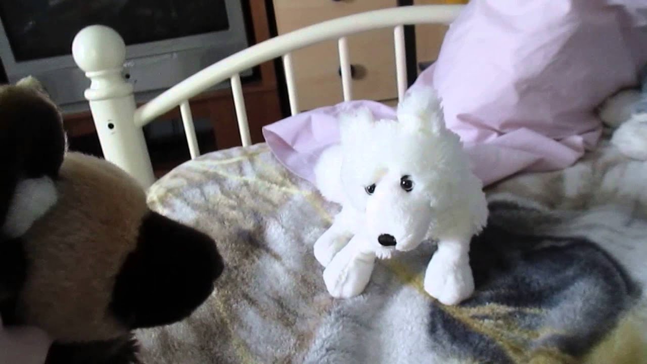 Webkinz Wolf Pack: Episode 1