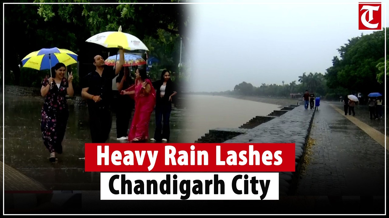 Chandigarh sees heavy rain as showers lash multiple parts of the city, weather turns wet
