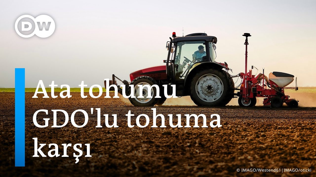 Tarım ilacı üreten şirketler tohumların kontrolünü nasıl ele geçirdi?  - DW Türkçe