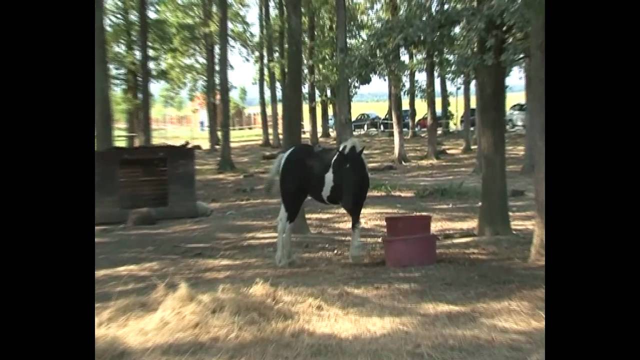 Ekopark Kraš