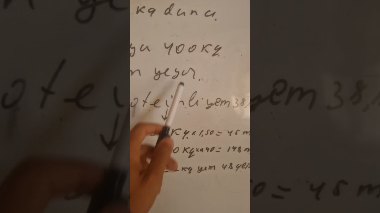 Bu yemlə danalar 2 dəfə tez b&ouml;y&uuml;y&uuml;r!