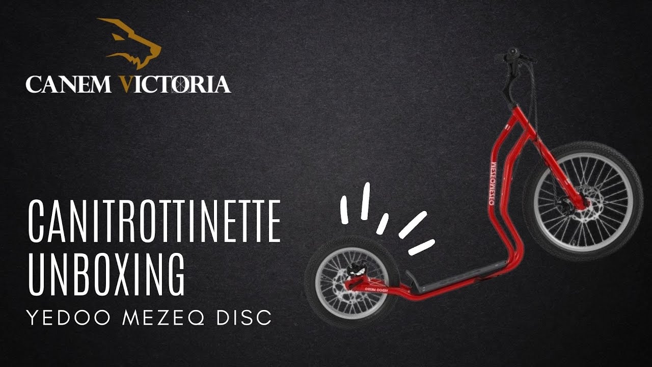 Montage trottinette Yedoo Mezeq Disc par Canem Victoria