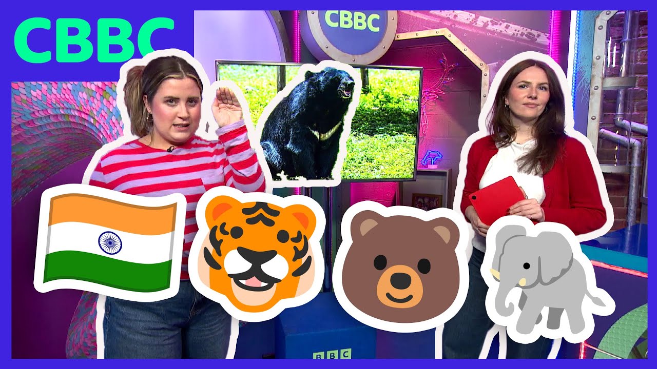 Mamalan Mòra Innseanach 🐯🐻🐘 | CBBC ALBA | BBC ALBA