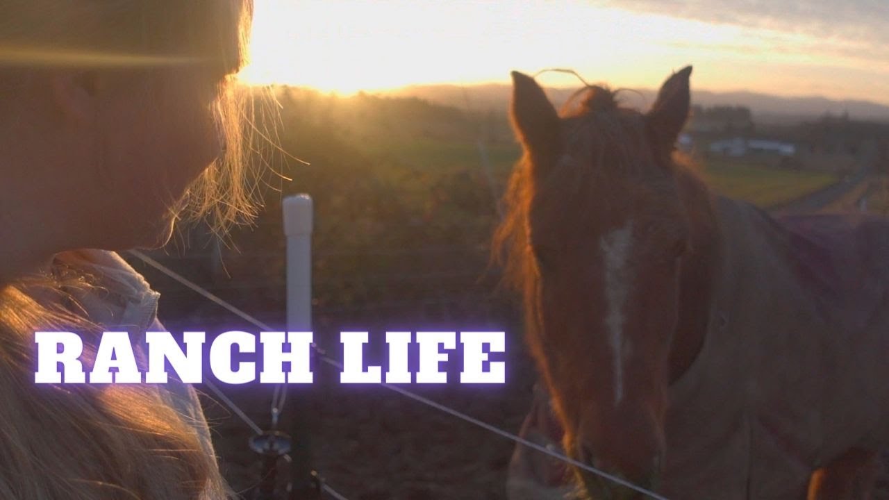 Day in the life | Winter with horses on a ranch!