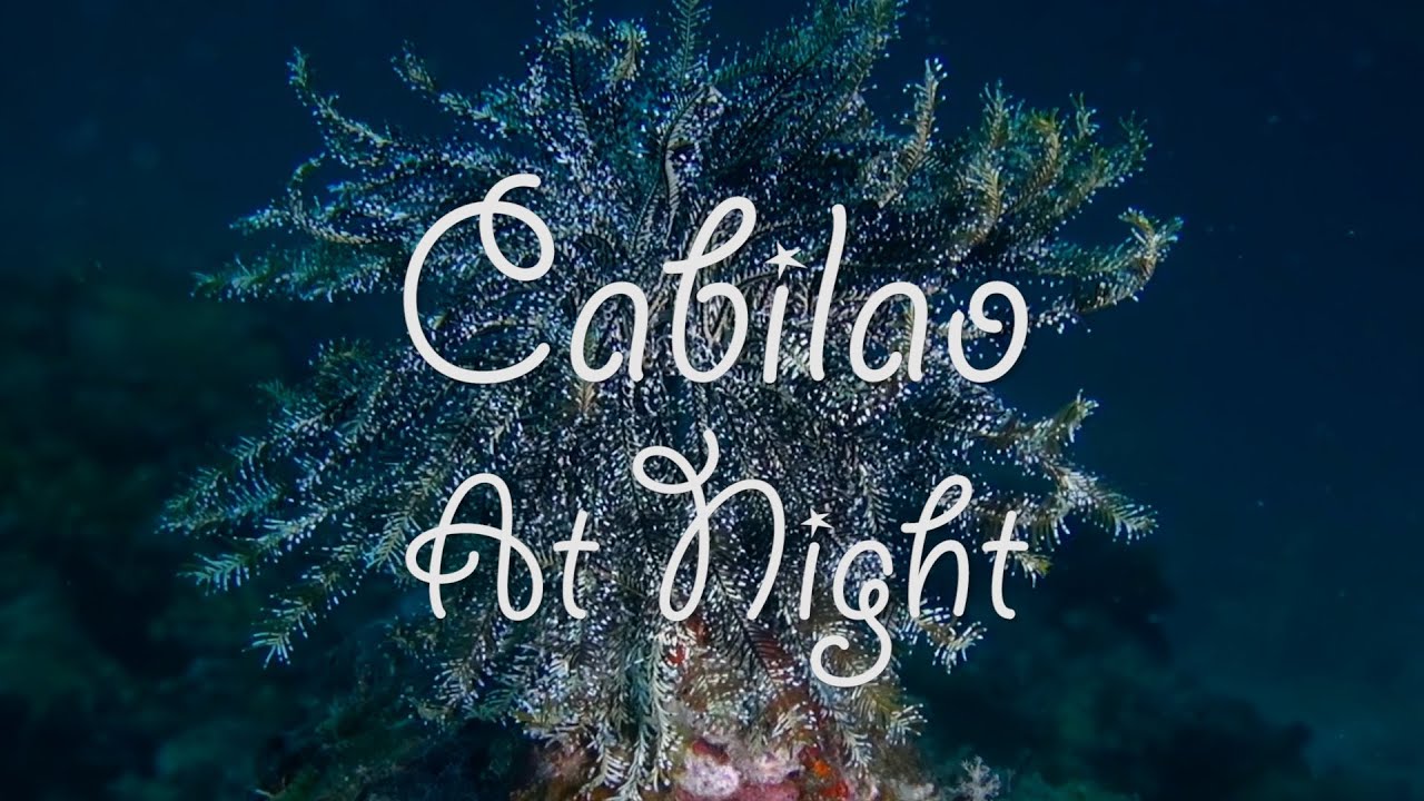 Cabilao At Night
