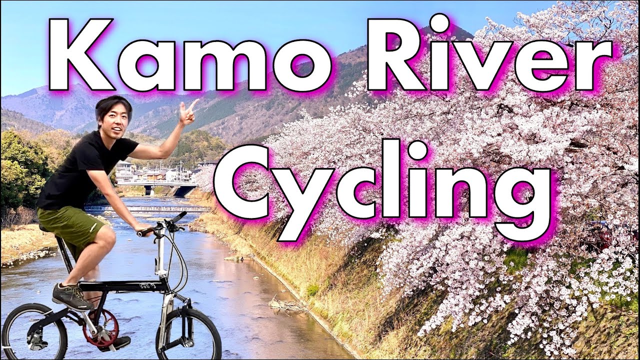 Kyoto’s Best Cycling in Cherry Blossom Season