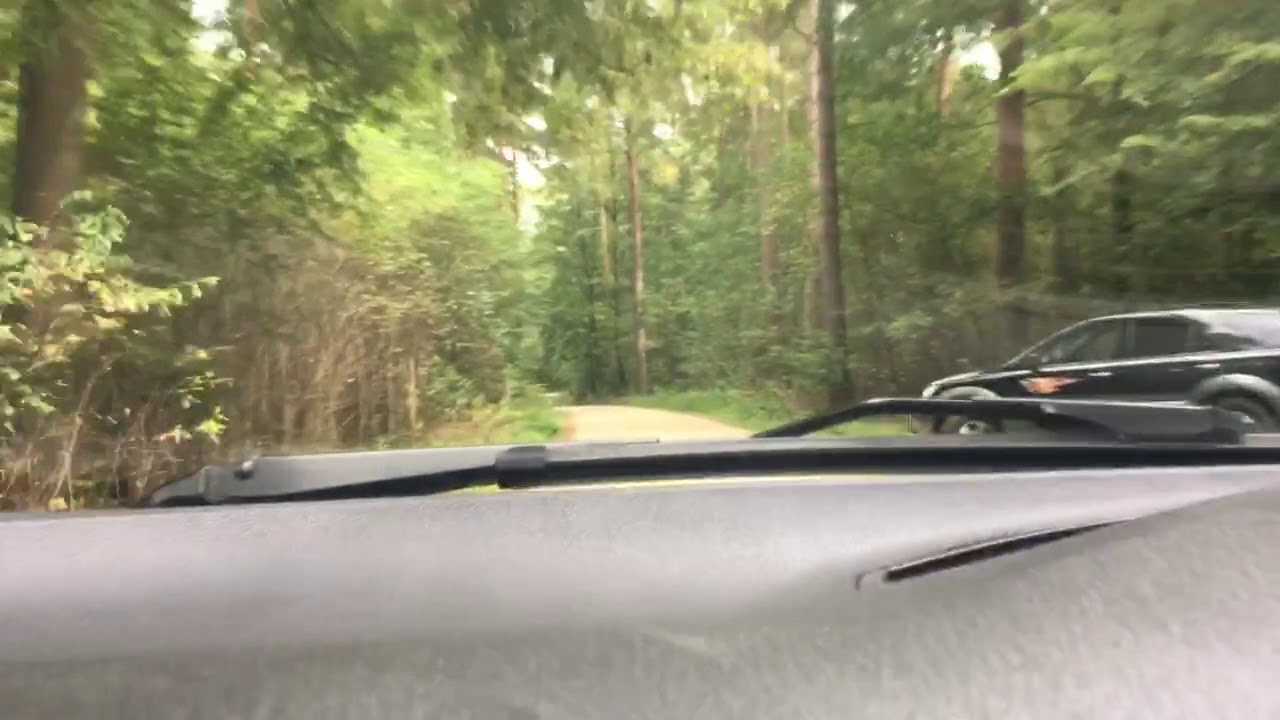 Anfahrt nach Carinhall aus Groß Schönebeck kommend