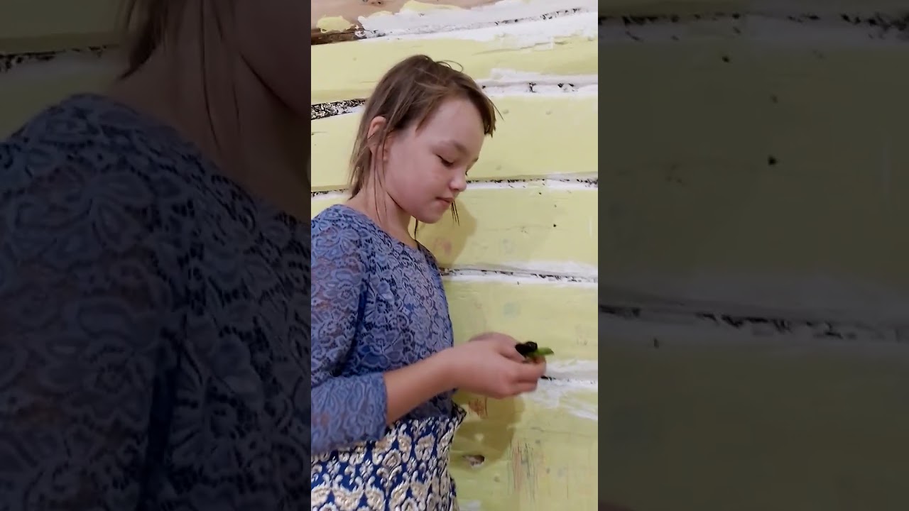 торт Ёжик🦔 и мармеладная смородина #asmrcutting #asmrcake #2025