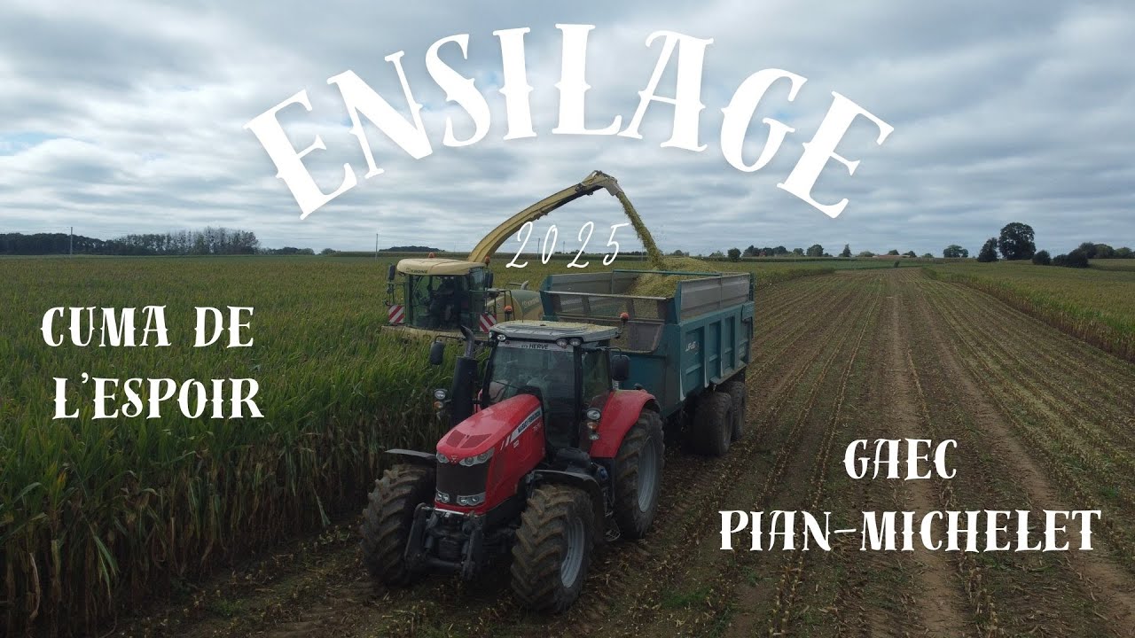 Ensilage de Maïs 2025 / CUMA de l'Espoir / GAEC Pian-Michelet