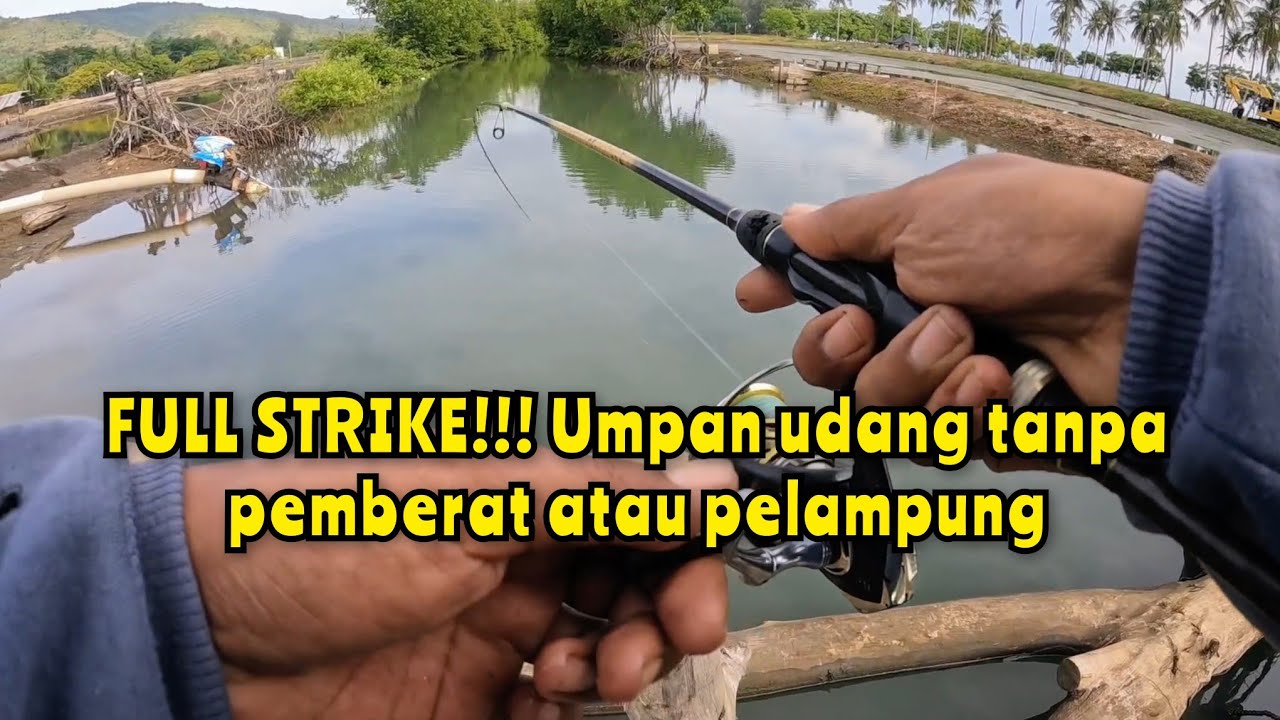 Jangan sepele spot seperti ini, Anak sungai kecil banyak macam ikannya | Ultralight fishing videos