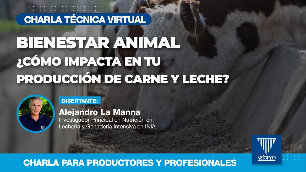 BIENESTAR ANIMAL ¿CÓMO IMPACTA EN TU PRODUCCIÓN DE CARNE Y LECHE?