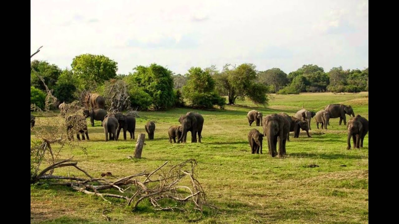 Watch The Destinations Offered By Tailormade Holidays 4 U .com