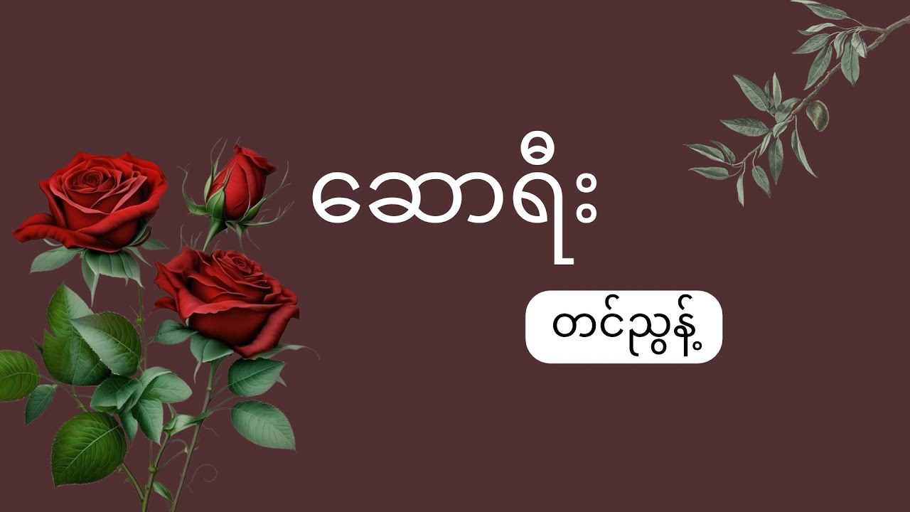 ဆောရီး - တင်ညွန့်