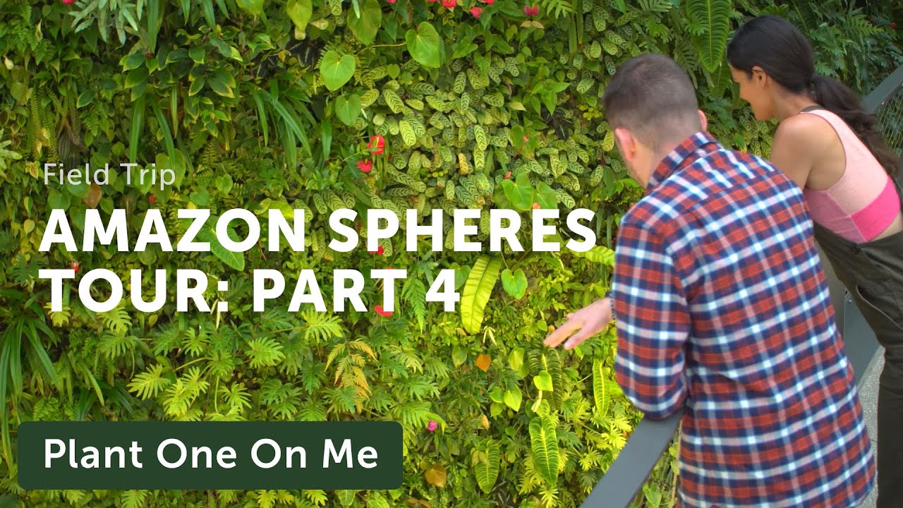 Amazon Spheres Tour: Part 4 — Ep 154