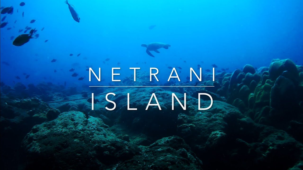 Scuba Diving In Netrani | Scuba Diving In Murudeshwar | Scuba Diving In India | Xiaomi Yi 4k