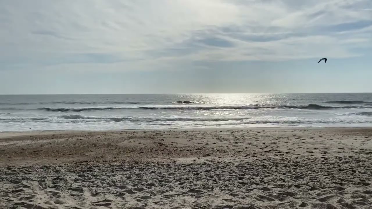 2-Hour Relaxing Beach Wallpaper — Amelia Island, Florida (Waves & Ambient Sound)