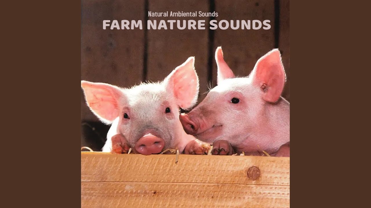 Natural Farm Sounds