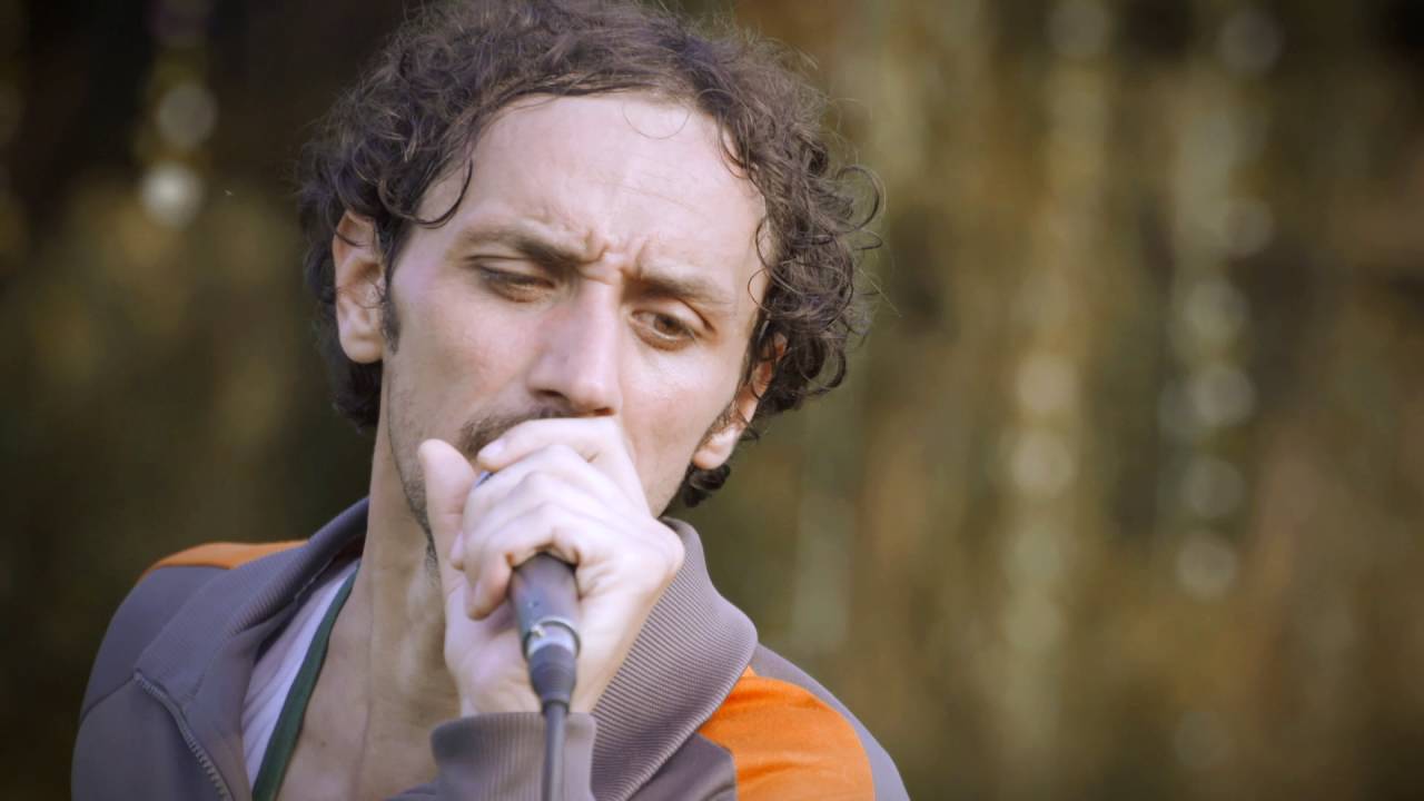 Zlatan Karic - IRIE