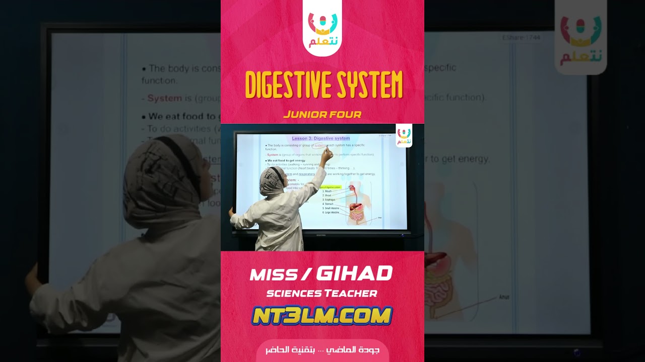 digestive system مع مس جهاد صديق رابعة ابتدائي