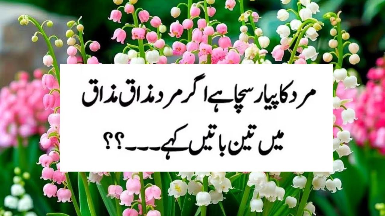 Best Motivational Quotes About Life In Urdu | Husband Wife Daily Life Quotes | Heart Touching Quotes