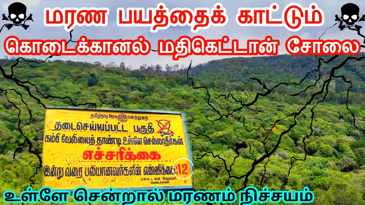 தமிழ்நாட்டின் மர்மக் காடு - மதிகெட்டான் சோலை || Mathikettan Solai, Kodaikkanal || INTERESTING ONE