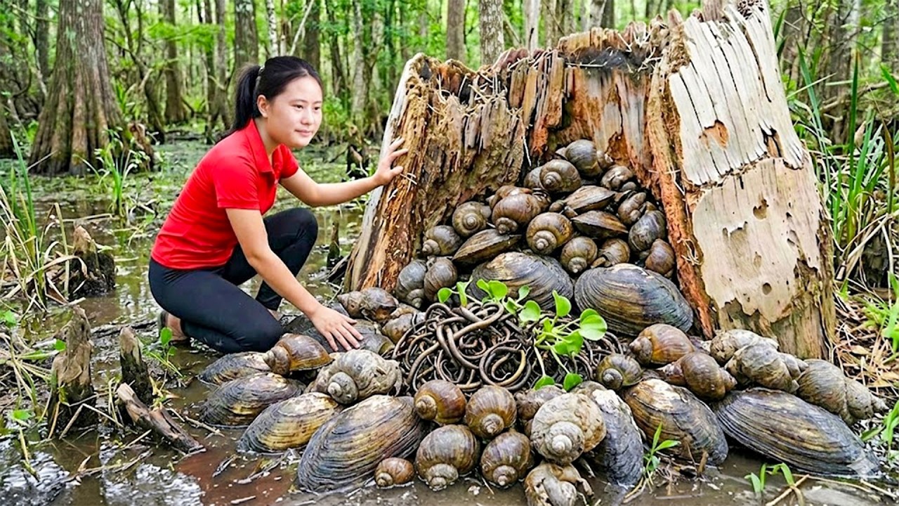 Harvesting Many Wild Freshwater Mussels in the Forest & Goes to Market Sell – Daily Survival