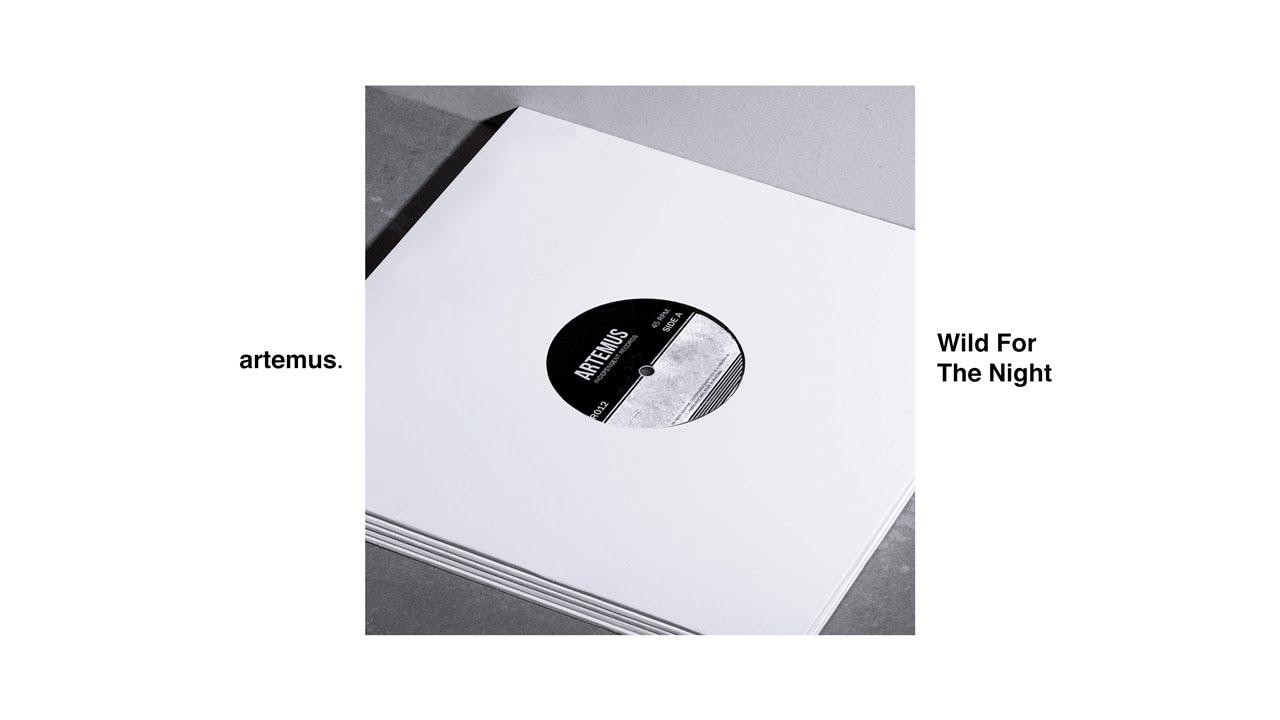 Wild For The Night (Mini Mix)