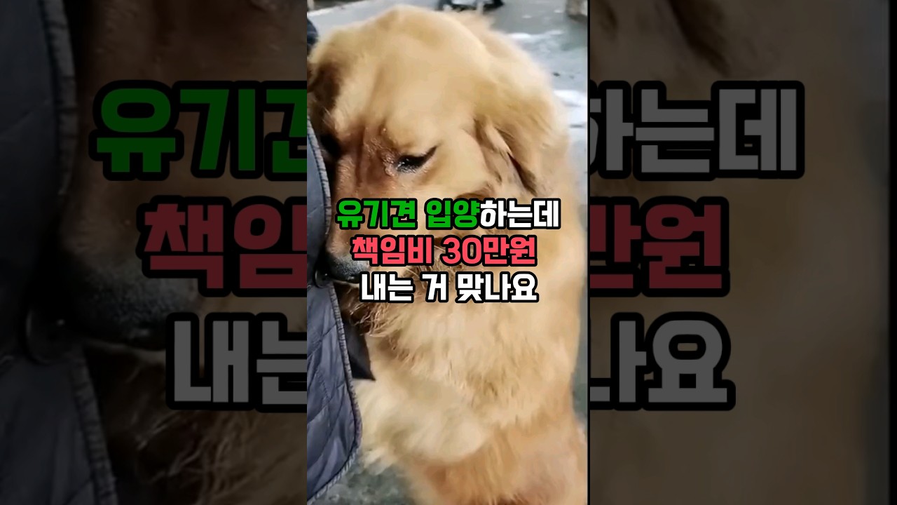 유기견입양하는데 책임비 30만원 내는게 맞나요?