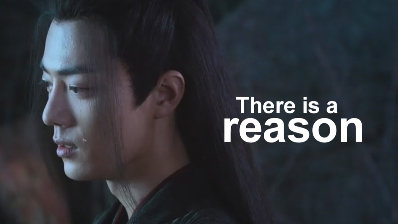 Wei Wuxian - There is a reason