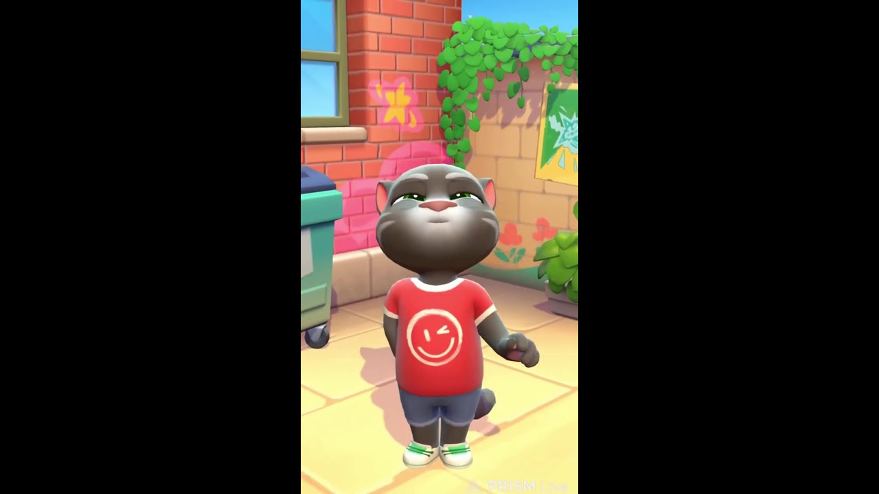 talking tom live fun