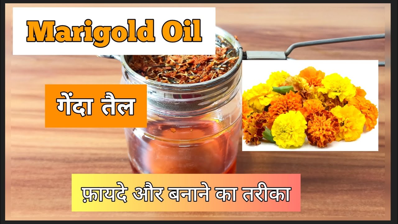 Marigold Oil#गेंदे के फूल का तैल#Benefits,uses & How to prepare#DIY#गेंदा फूल तैल बनाने का तरीका#