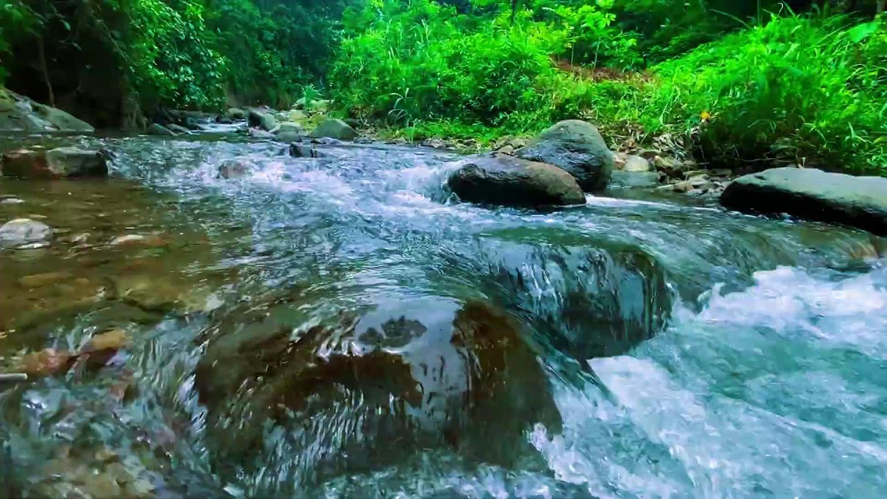 ТЫ ЗАСНЁШЬ РАНЬШЕ, ЧЕМ ПОЙМЁШЬ 🌊 Спокойная река в тропическом лесу