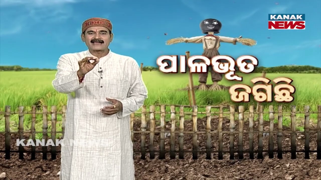 Pala Bhuta Jagichi | ଓଡ଼ିଶା ବ୍ୟାଗ୍‌ ବଙ୍ଗଳାରେ କେମିତି ମିଳିଲା ? KunaTripathy | Kanak News | Pala Bhuta