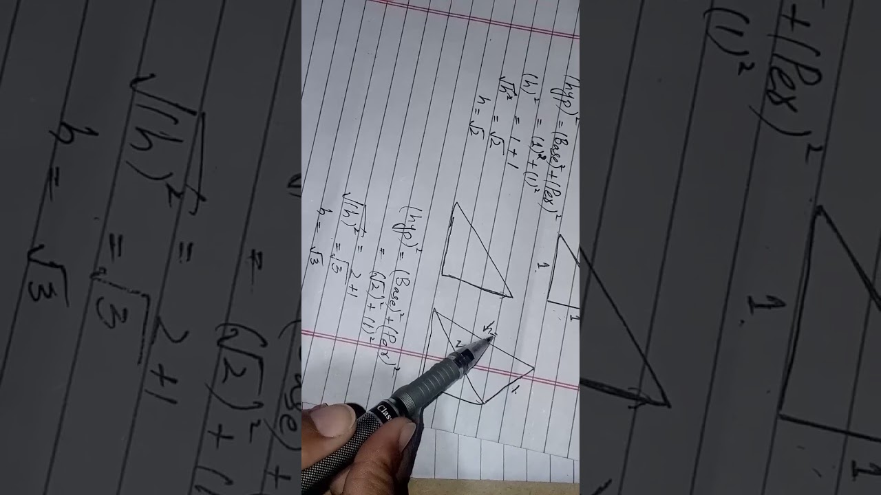 Exercise 1.1 Question no 2 class 9th new math book 