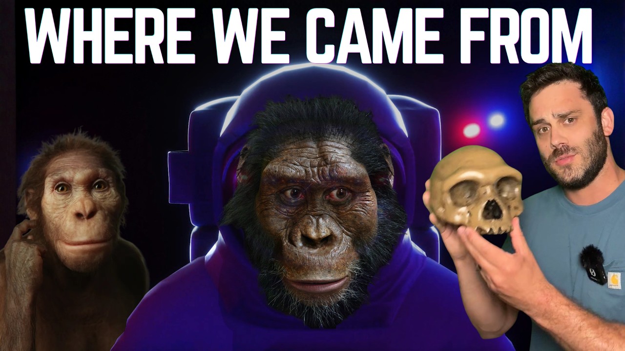 Human Evolution | Our Story