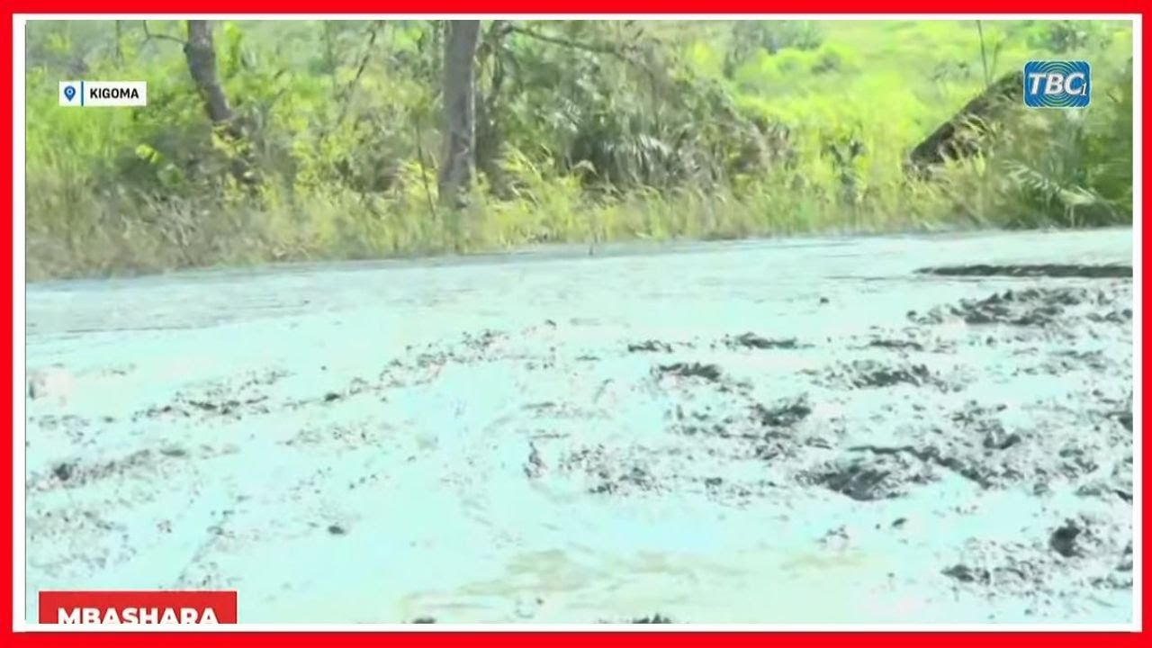 🔴#Live: TAHARUKI! MAFURIKO ya MATOPE YAZUKA KIGOMA - WANANCHI WASHANGAA - ''SAMAKI WAMEKUFA''...