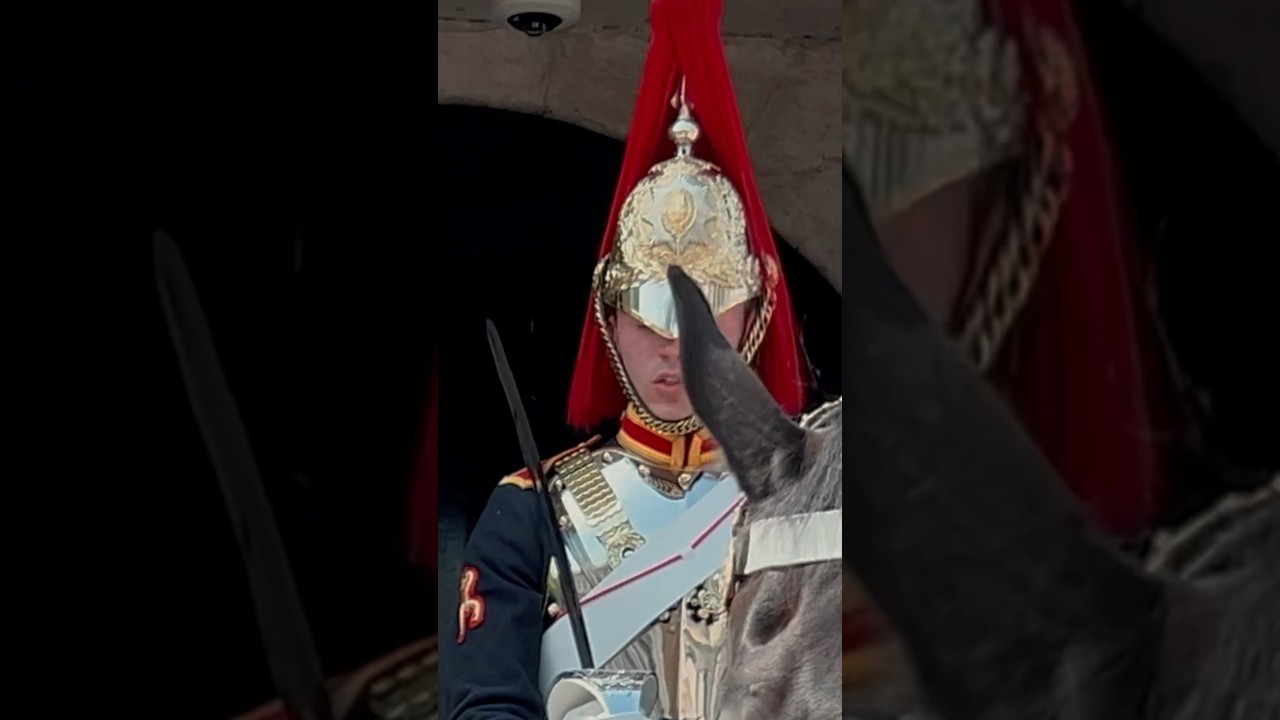 GUARD SAYS CALMLY DON&rsquo;T TOUCH⚠️💂| Horse Guards, Royal guard, Kings Guard, Horse, London, 2024