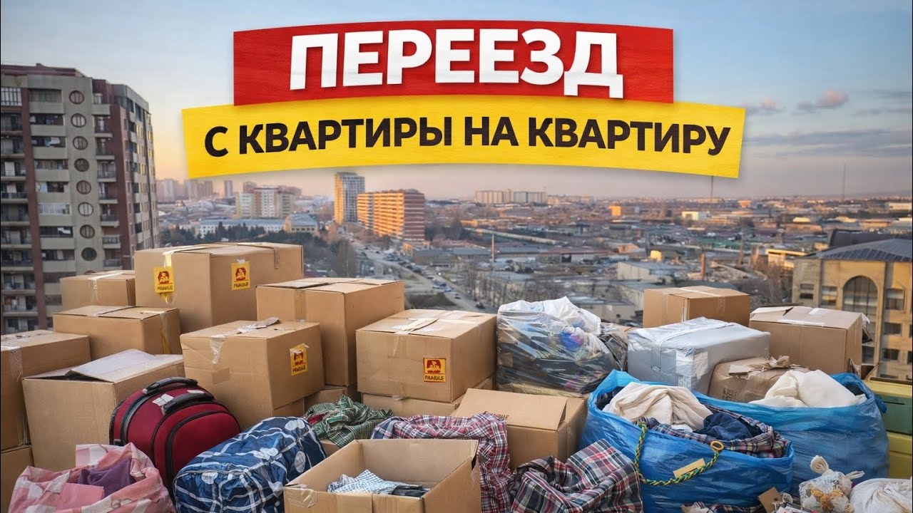 Переезд! картина, корзина, картонка и маленькая собаченка© #переезд #влог #homevlog 