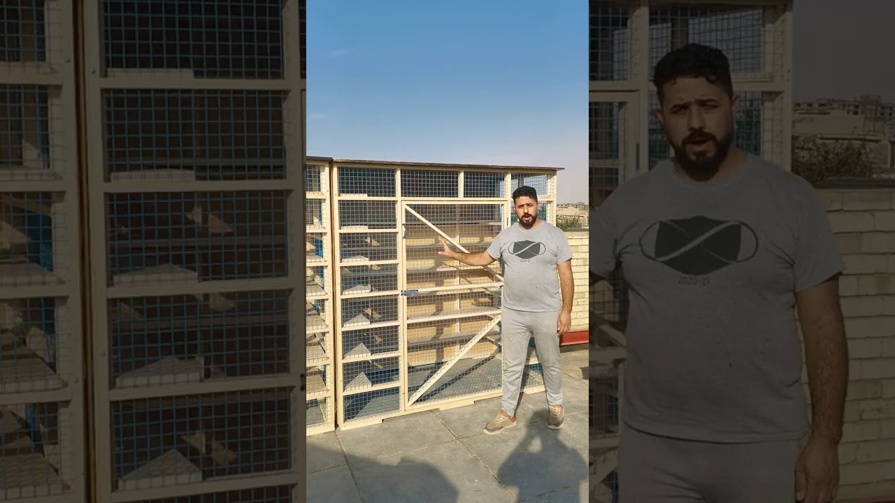 ٢٥ كانون الأول، ٢٠٢٢
